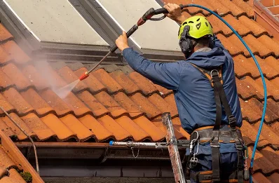 Démoussage et hydrofuge de toiture à Gressy
